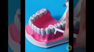 Зубочистки с зубной вощенной нитью (флоссер), стоматологическая нить для чистки полости рта