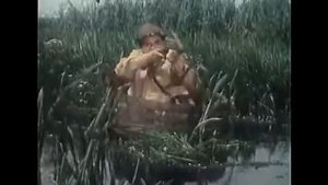 Ни пуха, ни пера