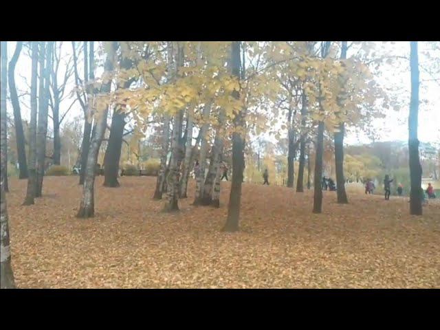 Красота осени
