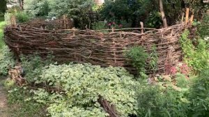 Вспомним плетень!