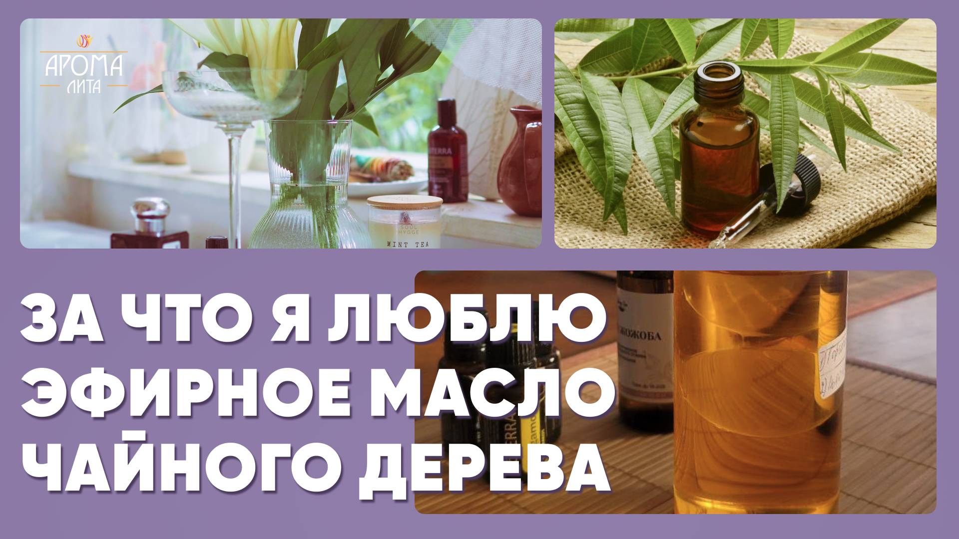 Эфирное масло чайного дерева от DoTerra – обзор | Свойства | Как применять | Аромапсихология