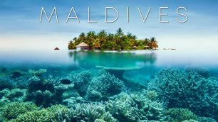 Подводный мир Индийского океана. Мальдивские острова