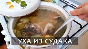 Уха из судака. Сварили из голов