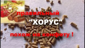 Конфетный Хорус. Где оригинал?