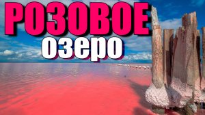 Озеро для фотосессии в Крыму. Нереально красиво!! Почему озеро РОЗОВОЕ!? Озеро Сасык-сиваш в Крыму