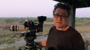 Дикая природа Тайная Жизнь Тигров _ The Secret Life of Tigers 4K .mp4