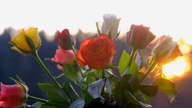 Успокаивающая музыка, успокаивает нервную систему и радует душу – целебная музыка смотреть онлайн