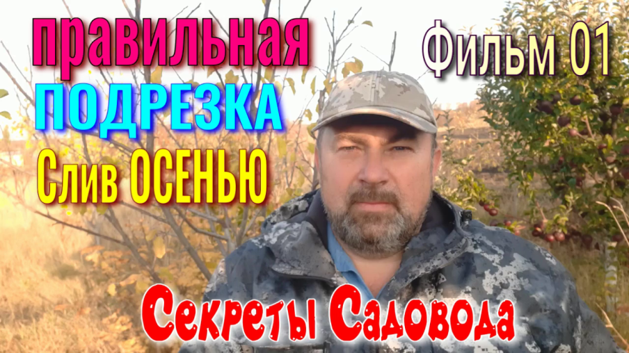 Правильная ПОДРЕЗКА Сливы Осенью. Фильм 3. Секреты САДОВОДА.
