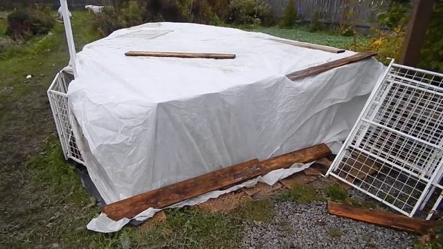 Хроника сада и укрытия роз и штамбов 2019, середина октября. смотреть онлайн