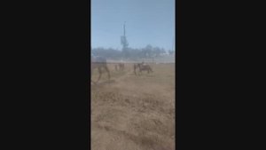 У НАС ЕСТЬ ВСЕ ЧТО БЫ ЖИТЬ ВЕЧНО!
ХВАТИТ ДЛЯ ВСЕХ!!!