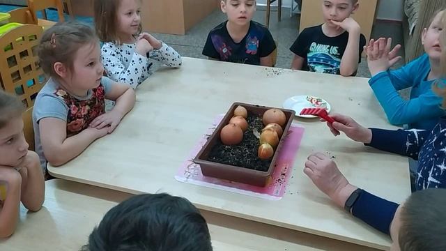 Огород на подоконнике