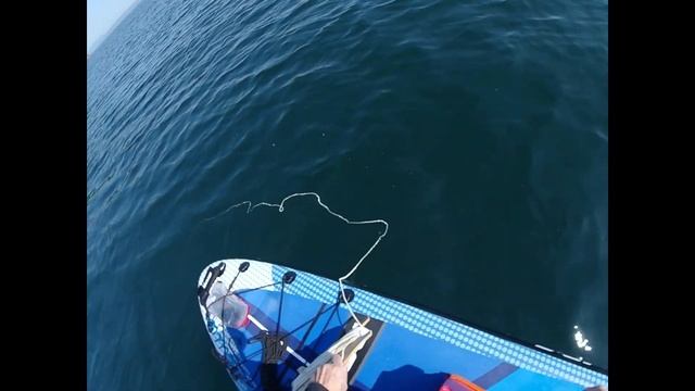 ЛОВЛЯ КАМБАЛЫ И ДРУГИХ ХИЩНИКОВ НА ДЖИГ смотреть онлайн