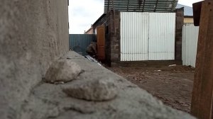 продуманная углярка для ленивых )))