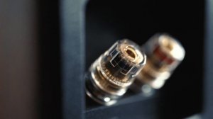 Dali Oberon 1 мы протестировали, сделали обзор, тест, и поставили рейтинг датским полочникам!