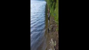 Рыбалка в Тверской области на Волге