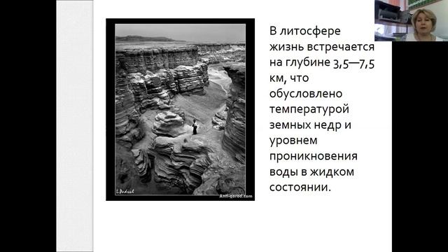 Видеоурок по биологии на тему: "Биосфера"