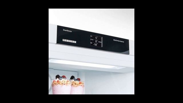Холодильник Liebherr
