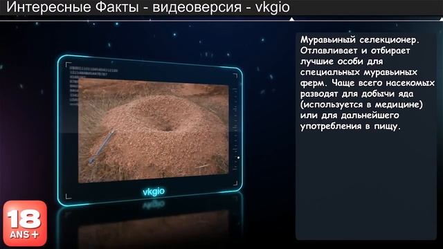 ТОП 10 самых необычных профессий в мире Интересные факты