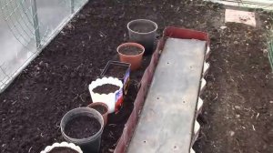 Подготовка теплицы к посадке весной.