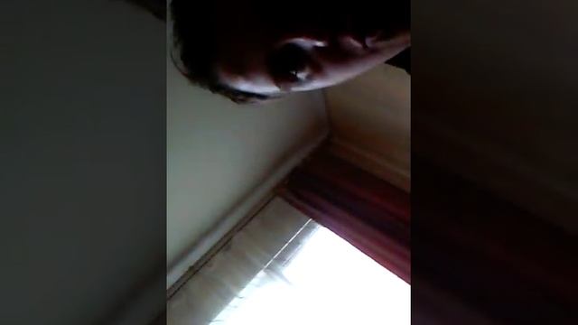 Кот куда рождаются Мухи смотреть онлайн