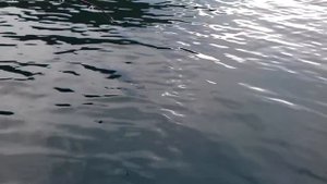 Таймыр, плато Путорана, озеро Лама, ловля арктического гольца