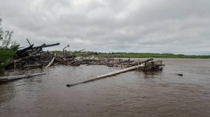 В поисках тропы Улукиткана, ч. 9. Сидение в устье Шевли...