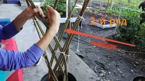 Плетёное дерево из ивы.