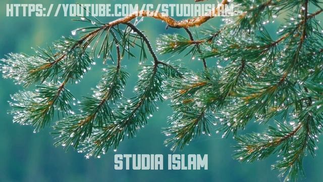 Новый Год в Исламе! Можно ли Праздновать или Нет? смотреть онлайн