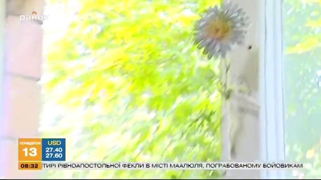 Качество жизни: как избавиться от мух? смотреть онлайн