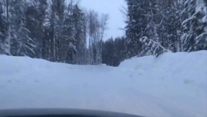 Автостопом от Красноярска до Бора (Туруханский р-н)