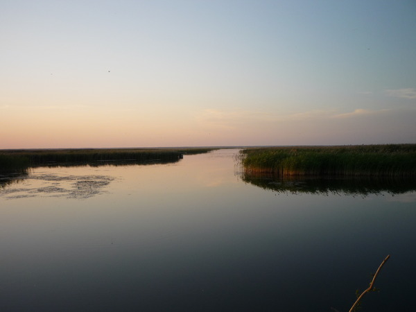 Туман над озером смотреть онлайн