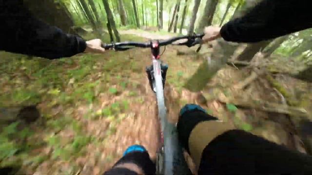 Bike park Bukovel / байк парк Буковель смотреть онлайн