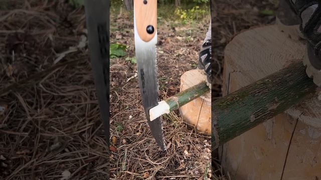 The GIRL made it out of WOOD?#camping #survival #bushcraft #outdoors #marusya #shiklina смотреть онлайн