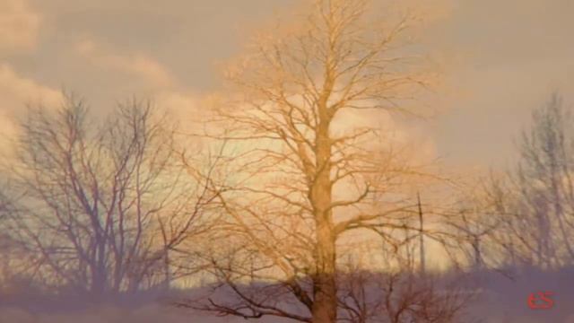 La Girondola - 2 treble viols - Thomas Morley смотреть онлайн