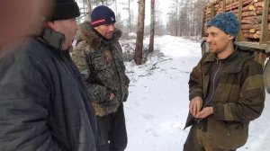 Обзор лесовозов ( на погрузке)