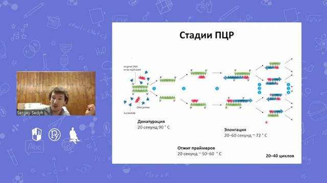Решаем задачи по молекулярной биологии из профиля «Геномное редактирование»