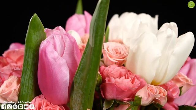 Лучшие композиции Сергея Грищук! Лечебная Музыка для Снятия Стресса! Успокаивающая музыка для нерво смотреть онлайн