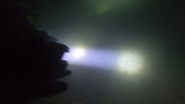 Ночной дайвинг и дайвинг с ограниченной видимостью. Японское море.