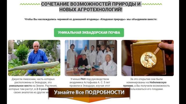 ЧЕРНИКА В ДОМАШНИХ УСЛОВИЯХ КРУГЛЫЙ ГОД! https://numl.org/fvq смотреть онлайн