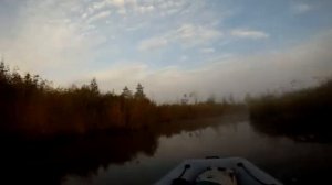 По реке Созь ч.1