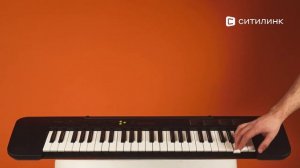 Обзор синтезатора Casio CTK-240 | Ситилинк