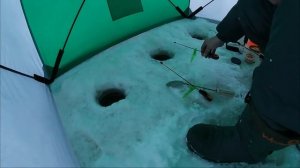 Белое море, остров Ягры, 1-я коса