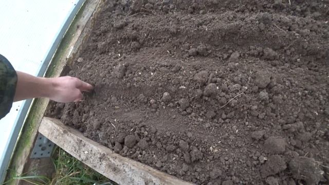 Сажаем Каштаны. Как посадить каштаны! смотреть онлайн