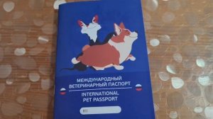 Ейск?Ремонт в квартире Тани. Нюансы по перепланировке кухни и ванной. Варины прививки. Огород на юг