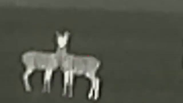 11 мая 2021 г. iray saim sct 35 смотреть онлайн