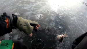РЫБАЛКА НА КАРАСЯ ЗИМОЙ! ЛОВЛЯ КАРАСЯ! ЗИМНЯЯ РЫБАЛКА  зимние снасти на карася