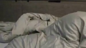 Хаски будильник