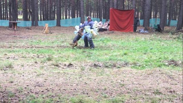 Турнир по задержанию г. Первоуральск смотреть онлайн