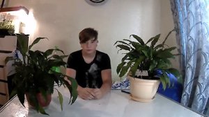 Уход и выращивание Спатифиллума (Женское счастье) в домашних условиях