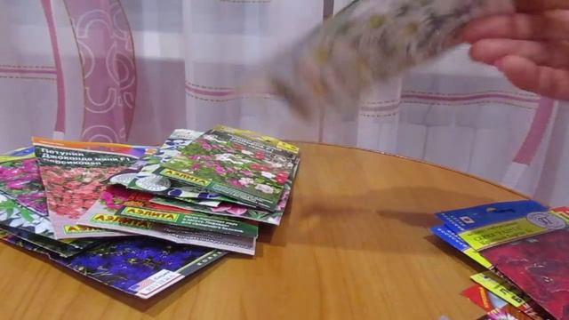 Какие цветы можно выращивать на балконе
